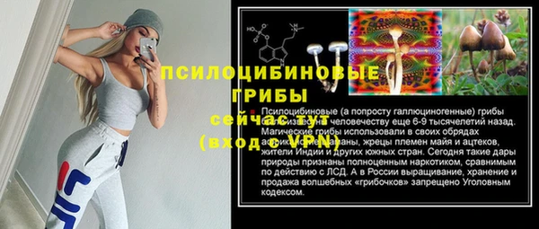 метадон Алексин