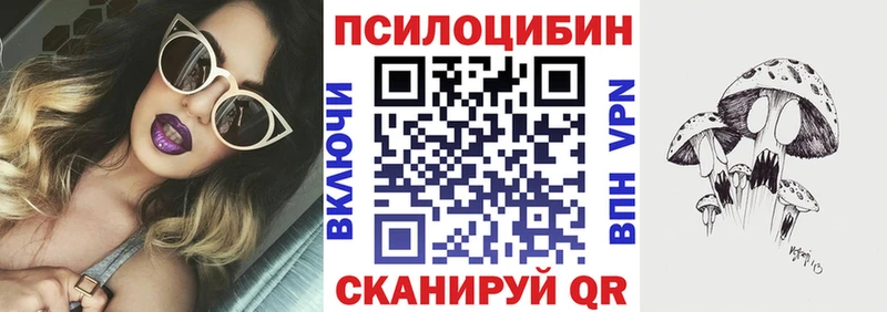 Галлюциногенные грибы MAGIC MUSHROOMS  где купить наркотик  Орлов 